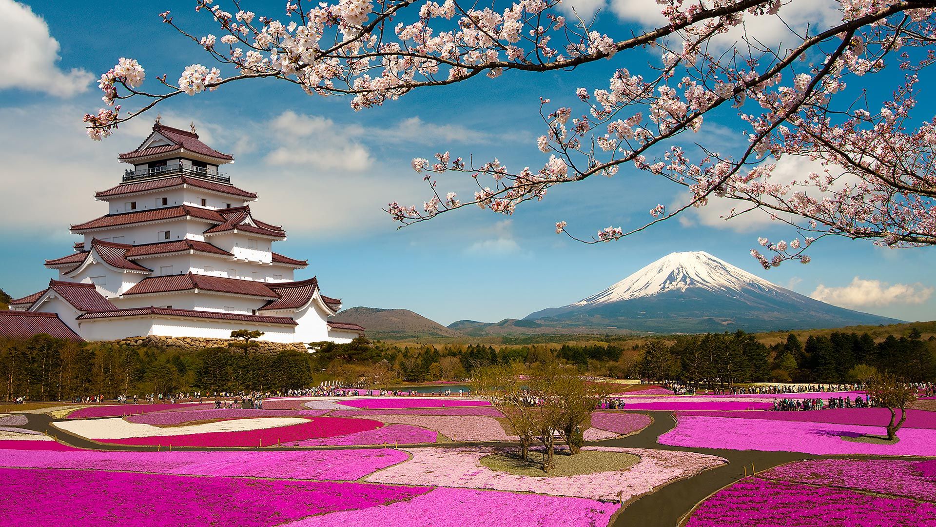 Japan Tour from India